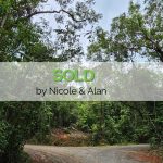UNDEVELOPED NATURAL RAINFOREST IN DAINTREE