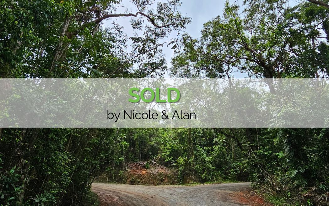 UNDEVELOPED NATURAL RAINFOREST IN DAINTREE Property Shop Port Douglas