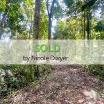 ONE HECTARE OF RAINFOREST – LIVE IN PARADISE!