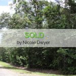 RARE OPPORTUNITY: 1.36ha RAINFOREST BLOCK IN THE DAINTREE – YOURS TO OWN!