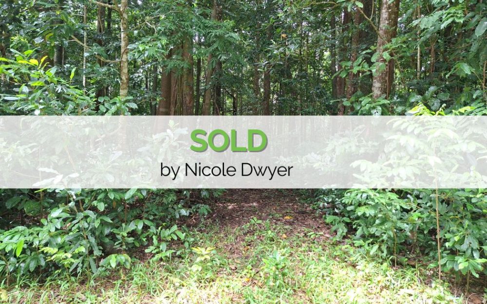 1HECTARE RAINFOREST BLOCK IN THE DAINTREE